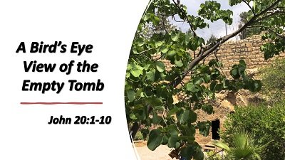 A Bird's Eye View of the Empty Tomb (John 20:1-10)